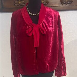Chic Velvet Women's Blouse with Bow Detail